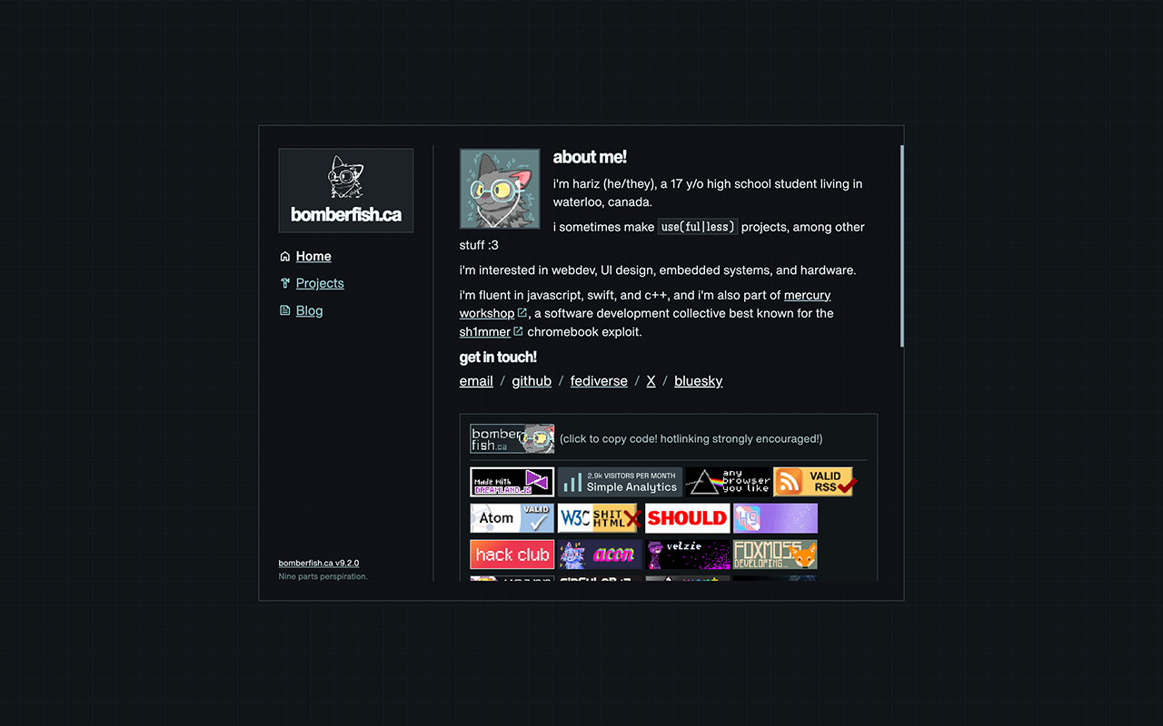 A screenshot of this website.